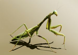 繝ェ繧「繝ォ